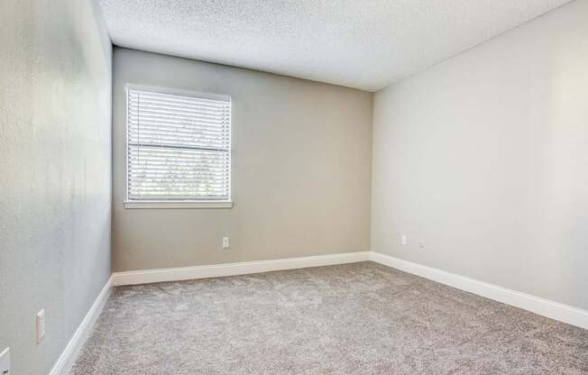 A room with a window and carpeted floor.