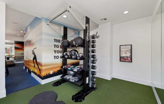 a workout room with weights and a wall mural