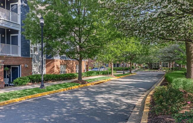 A tree-lined street in a residential area, featuring well-maintained sidewalks, green grass, and flowering trees. The image shows buildings with balconies on one side and a peaceful, inviting atmosphere. Thereâs a soft sunlight filtering through the leaves, creating a serene environment.