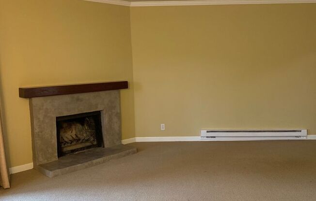 Spacious 1 Bedroom Near Kirkland Waterfront!
