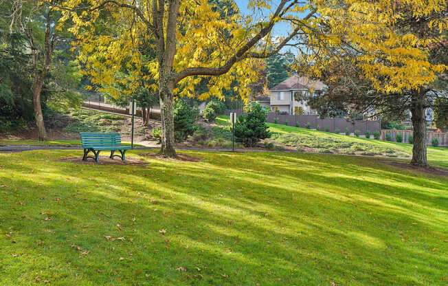 A park with a bench and trees.