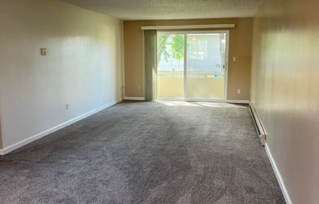 1 bed, 1 bath, 645 sqft, $1,100, Unit 202