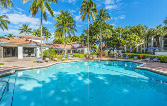 A swimming pool surrounded by palm trees and lounge chairs.