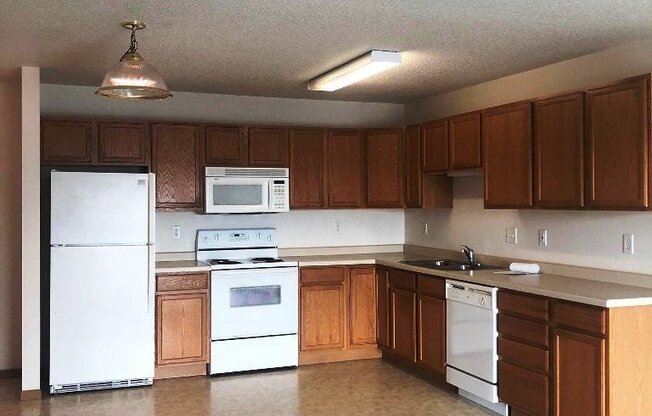 2 beds, 1 bath, 1,000 sqft, $950, Unit 309