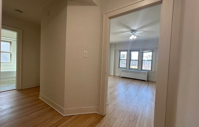 1 bed, 1 bath, $1,125