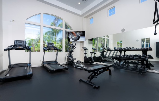 A spacious gym with treadmills, elliptical machines, and dumbbells.