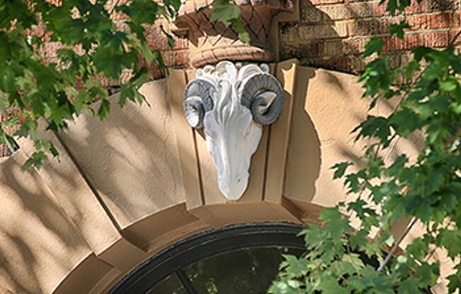 1 bed, 2 baths, 737 sqft, $1,500, Unit 101