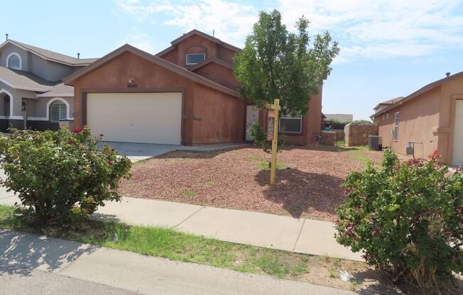 14246 GIL REYES