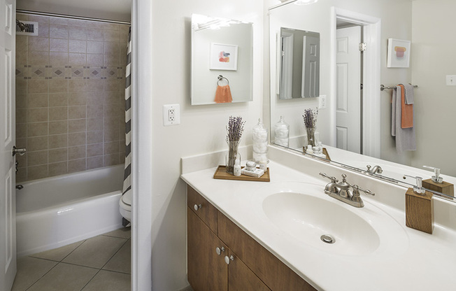 Large vanity in bathroom as well as tile surround in bath
