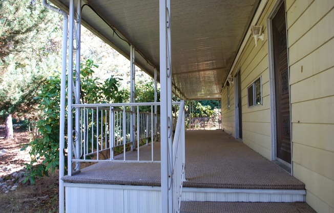 Holly Hills