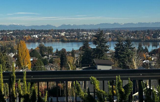 Studio, 1 bath, 294 sqft, $1,178, Unit 316