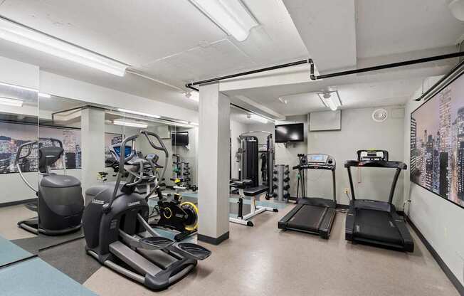 the gym is equipped with cardio equipment and weights