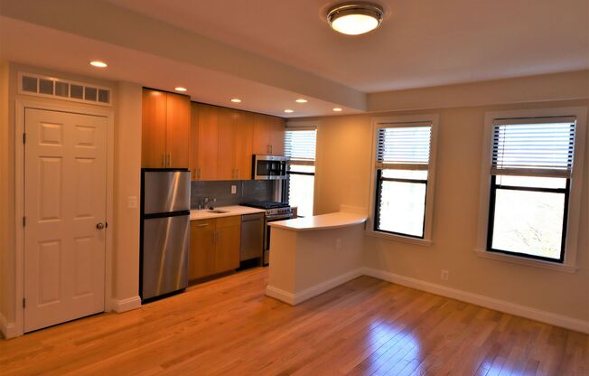 Studio, 1 bath, 407 sqft, $2,175, Unit H501