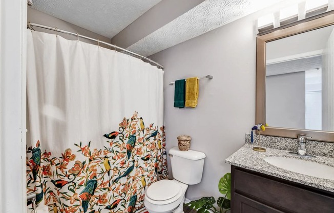 a bathroom with a shower and a toilet and a sink