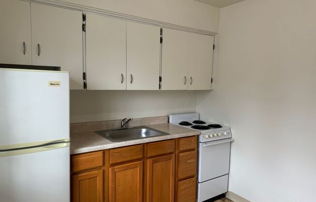 1 bed, 1 bath, 500 sqft, $1,200