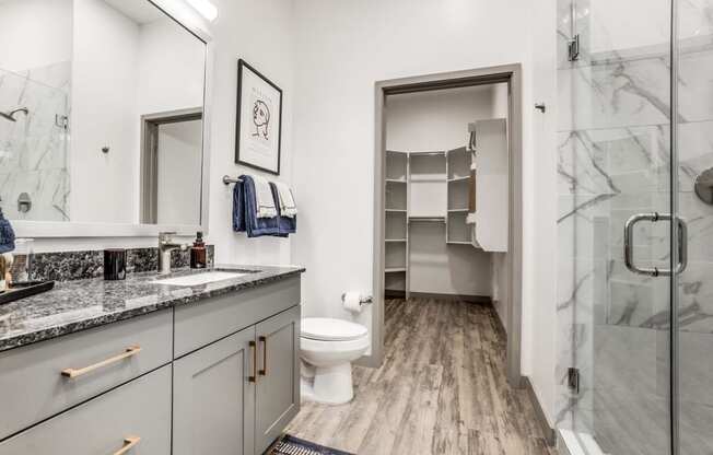 a bathroom with a shower and a sink and a toilet