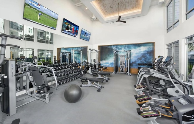 Fitness Studio with Free Weights