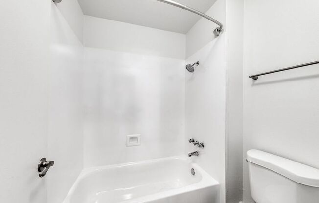 a bathroom with a toilet and a bathtub