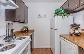 Home - Adobe Springs - Houston, TX