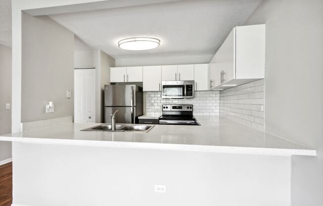 a kitchen with a counter top and a sink