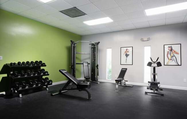 the gym has plenty of equipment and paintings on the wall  at The Park at Chesterfield Apartment Homes, Tampa, FL