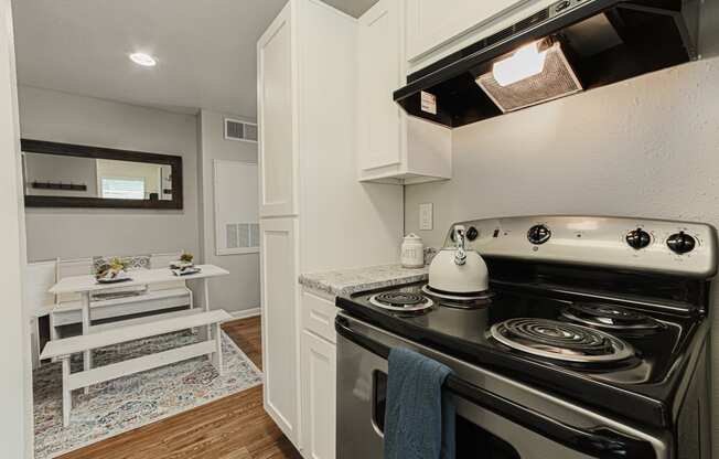 kitchen in north houston apartments