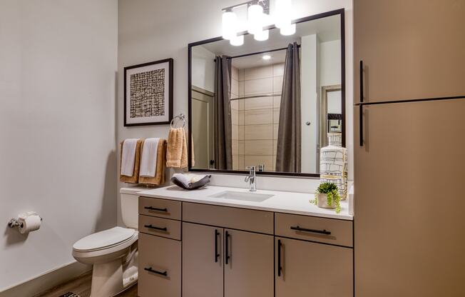a bathroom with a sink and a mirror and a toilet at Aura Stonebridge, Richmond Virginia