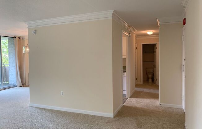 Sunny and Spacious 1BD/1BA in Lakeside of Bethesda - All Utilities Included