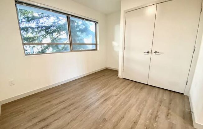 1 bed, 1 bath, 427 sqft, $1,495, Unit 315