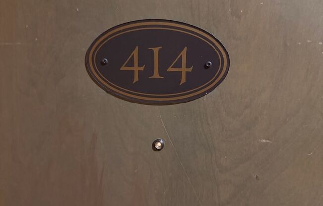 Studio, 1 bath, 250 sqft, $750, Unit 414