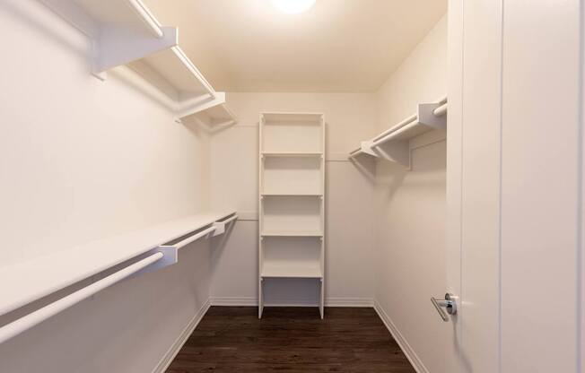 A white pantry with a shelf and a door.