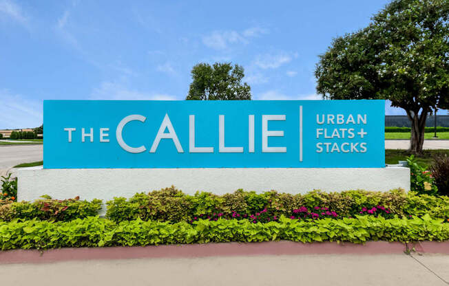 The Callie apartments Dallas, TX 75243