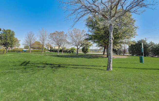 a park with a tree and a shadow of a tree