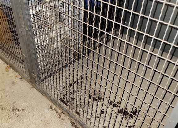 1 bed, 1 bath, 844 sqft, $2,400, Unit 207