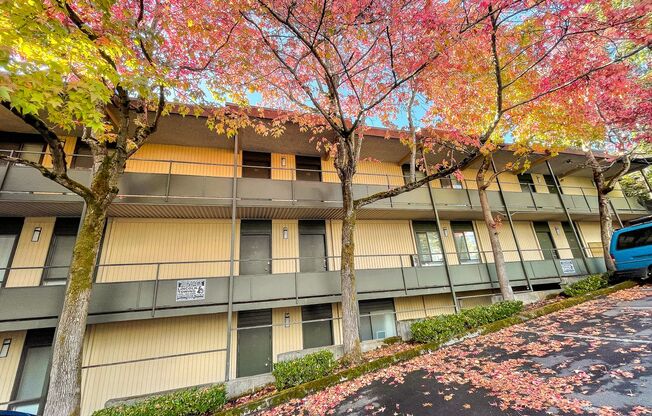 1 bed, 1 bath, $1,595, Unit 105