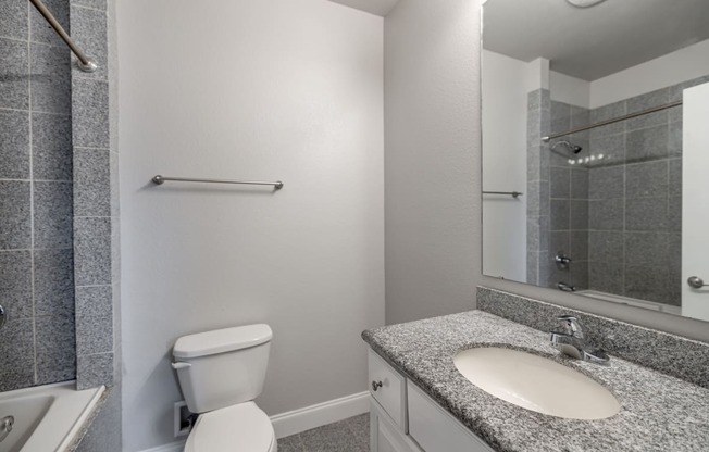 a bathroom with a toilet and a sink and a mirror