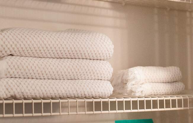 Organization aficionados love all the closet space in every home.