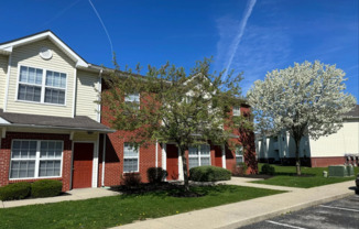 2 beds, 1 bath, $1,325