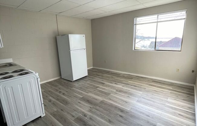 Studio, 1 bath, 300 sqft, $1,100, Unit 3