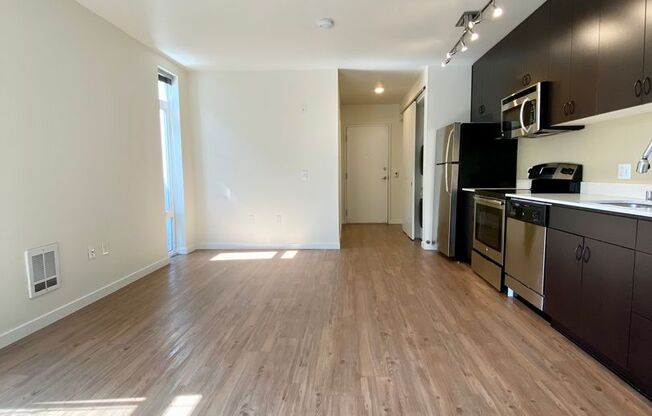 Studio, 1 bath, 407 sqft, $1,495, Unit 409
