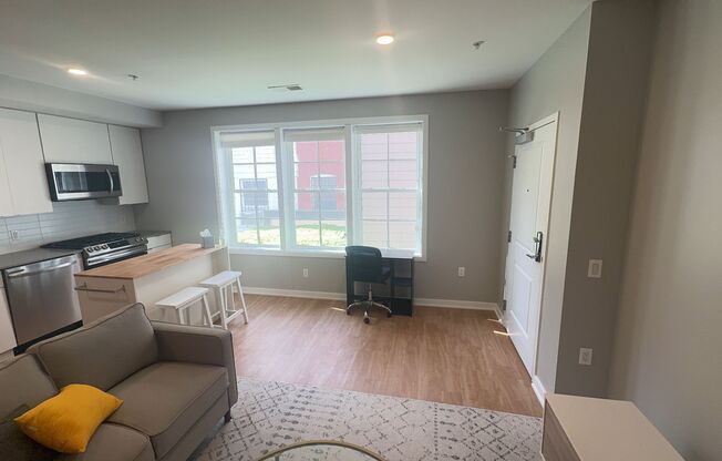 Studio, 1 bath, 504 sqft, $2,695, Unit 221