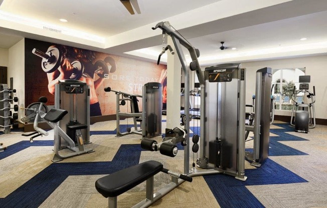 a gym with weights and cardio equipment in a hotel room