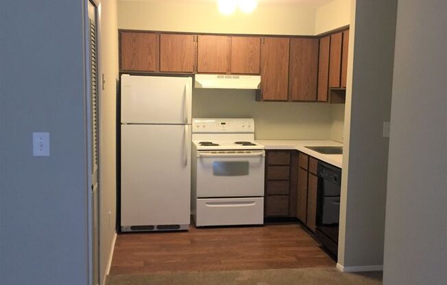 1 bed, 1 bath, 725 sqft, $1,255, Unit A102