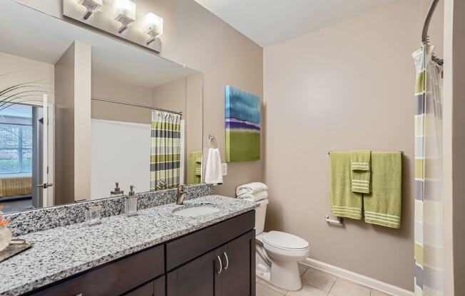 a bathroom with a sink and a toilet and a mirror