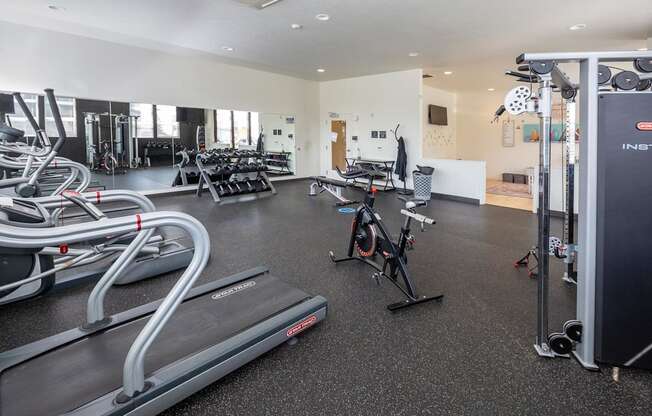 A gym with treadmills, exercise bikes, and other equipment.