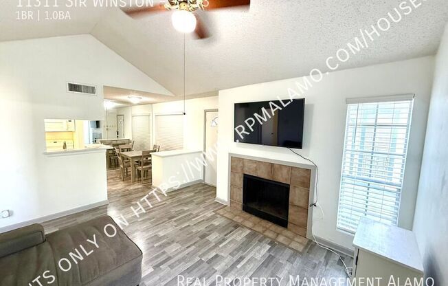 11311 Sir Winston St