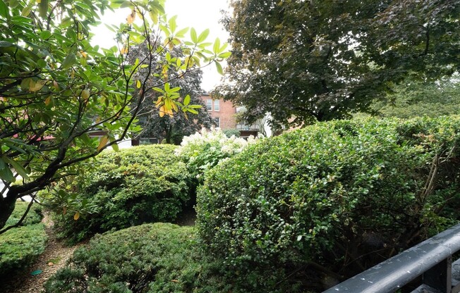 1 bed, 1 bath, 665 sqft, $2,300, Unit 20