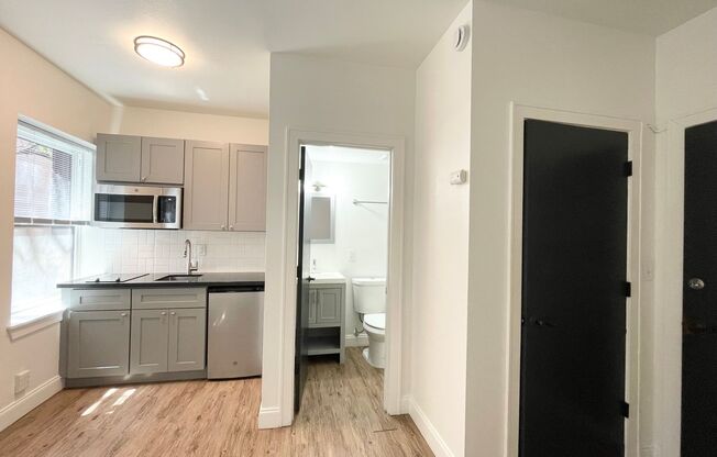 Studio, 1 bath, 249 sqft, $925, Unit 205