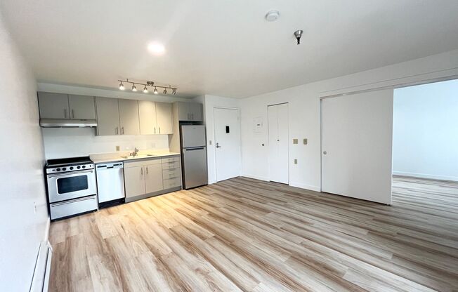 1 bed, 1 bath, 480 sqft, $1,595, Unit 202