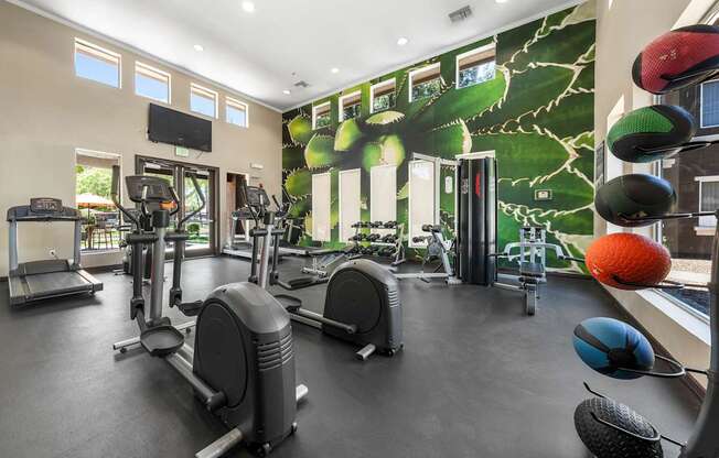 A gym with a green tree mural on the wall.